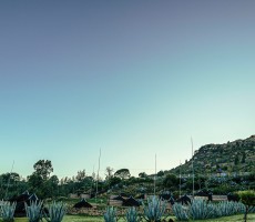 Governance-constitution